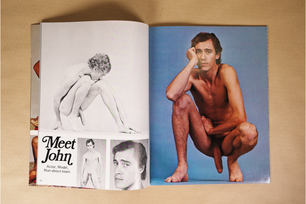 BACHELOR BOYS: THE MALE ANIMAL