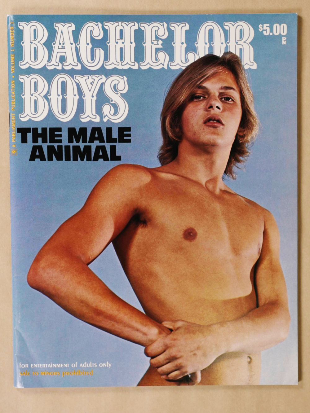 BACHELOR BOYS: THE MALE ANIMAL