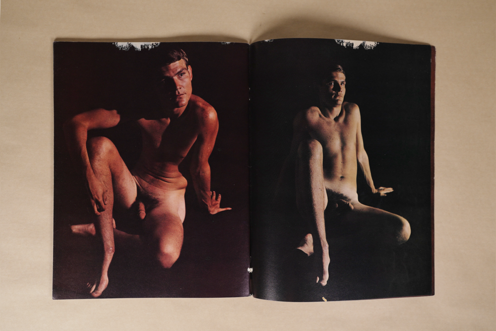 THE GREYHUFF REVIEW (NO.5)