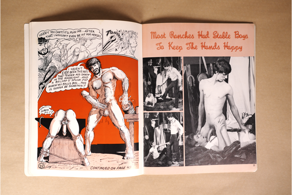 western 4 THE WESTERN SCENE