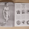 Untitled (21) QUEENS QUARTERLY (AUGUST 1978)