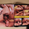 Untitled (27) STROKE (VOL. 2 NO. 3) 1983